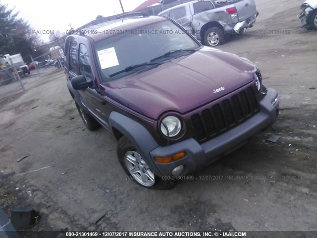 1J4GK48K42W170670 - 2002 JEEP LIBERTY SPORT 栗色 照片 1