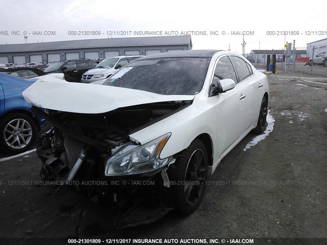 1N4AA5AP6BC861393 - 2011 NISSAN MAXIMA S/SV WHITE photo 2