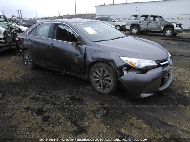 4T4BF1FK5FR446508 - 2015 TOYOTA CAMRY LE/XLE/SE/XSE Dark Brown photo 1