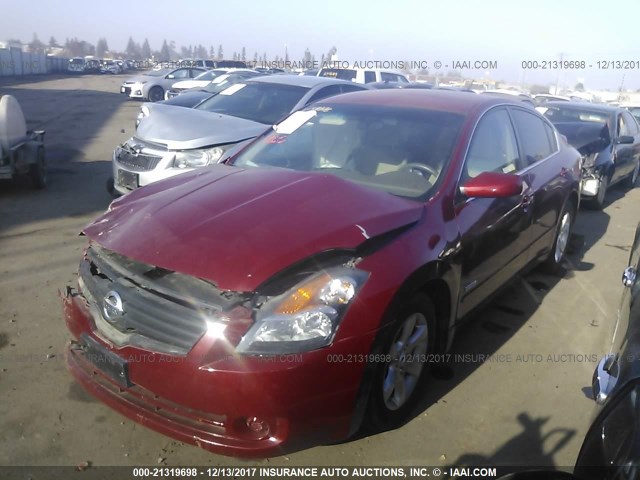 1N4CL21E67C204410 - 2007 NISSAN ALTIMA HYBRID RED photo 2