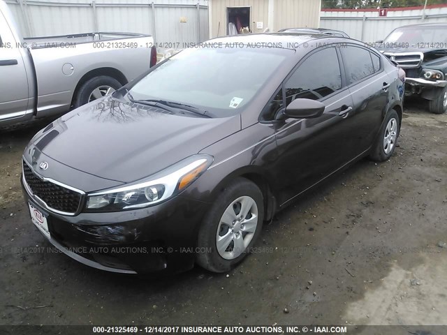 3KPFL4A79HE013305 - 2017 KIA FORTE LX/S BROWN photo 2