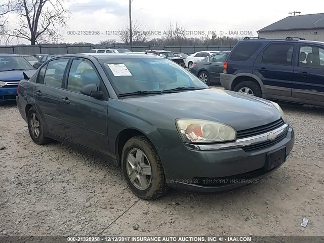 1G1ZT54884F103464 - 2004 CHEVROLET MALIBU LS GRAY photo 1