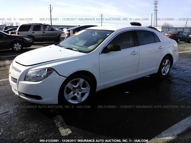 1G1ZA5EU3CF387022 - 2012 CHEVROLET MALIBU LS 白色 照片 2