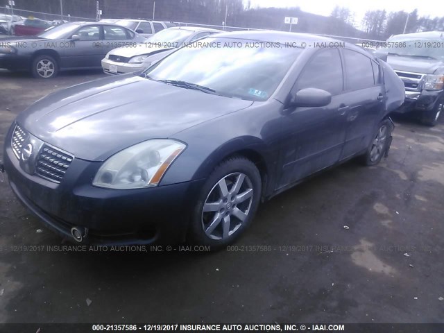 1N4BA41E25C814945 - 2005 NISSAN MAXIMA SE/SL GRAY photo 2