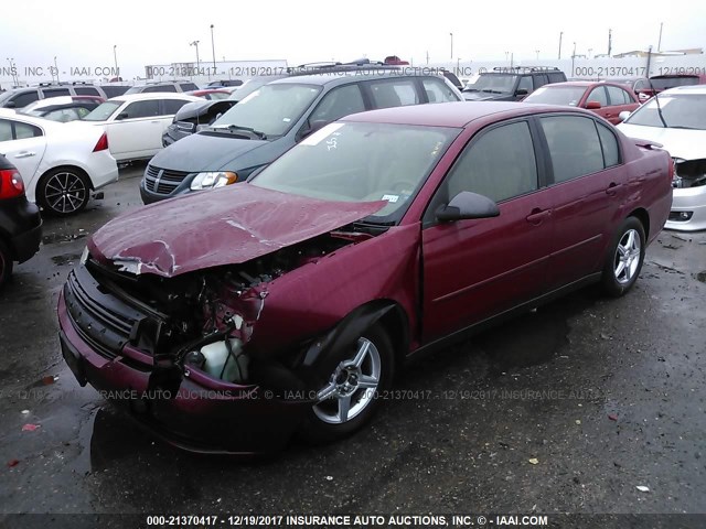 1G1ZT54845F157488 - 2005 CHEVROLET MALIBU LS მუქწითელი ფოტო 2