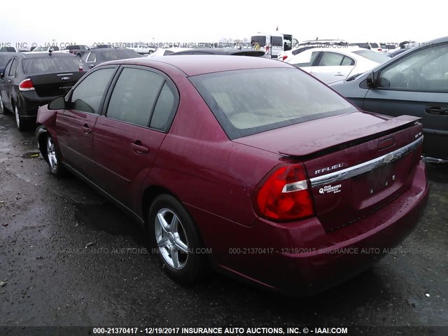 1G1ZT54845F157488 - 2005 CHEVROLET MALIBU LS მუქწითელი ფოტო 3