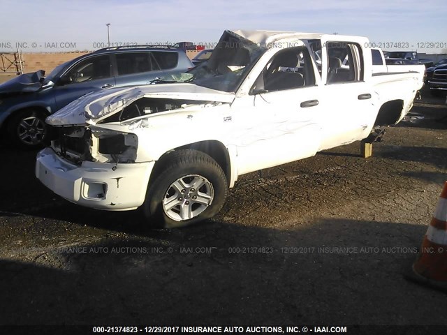 1D7HW38P59S782081 - 2009 DODGE DAKOTA SXT WHITE photo 2