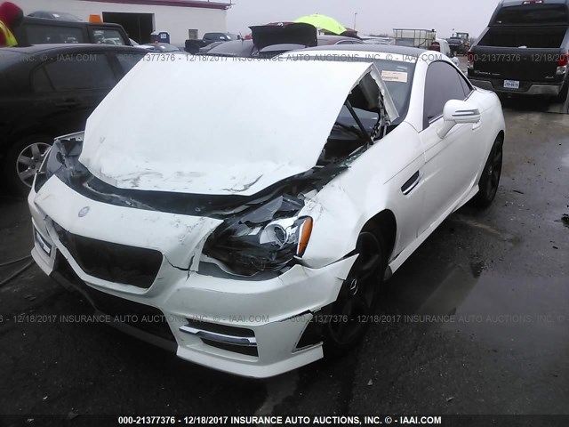 WDDPK4HA9DF052751 - 2013 MERCEDES-BENZ SLK 250 WHITE photo 2