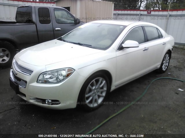 1G1ZE5EB5AF238191 - 2010 CHEVROLET MALIBU LTZ 奶油色 照片 2