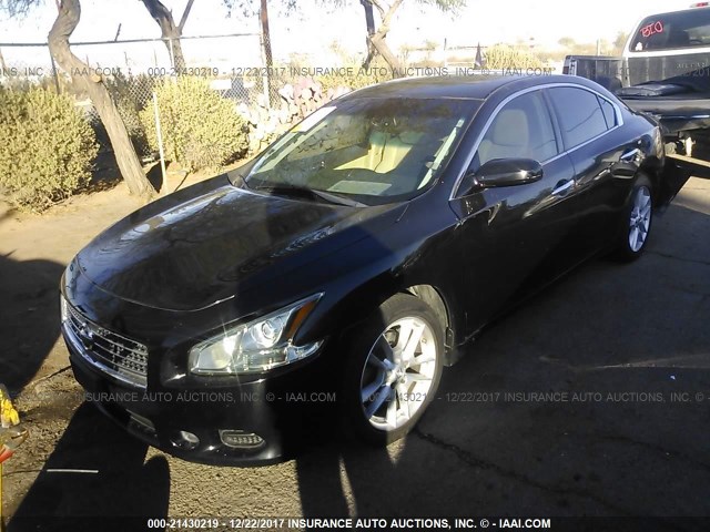 1N4AA5AP0BC865634 - 2011 NISSAN MAXIMA S/SV BLACK photo 2