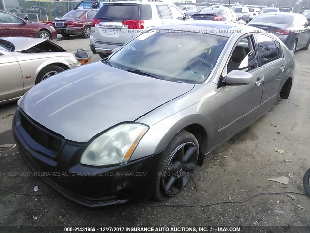 1N4BA41E44C905827 - 2004 NISSAN MAXIMA SE/SL GOLD photo 2