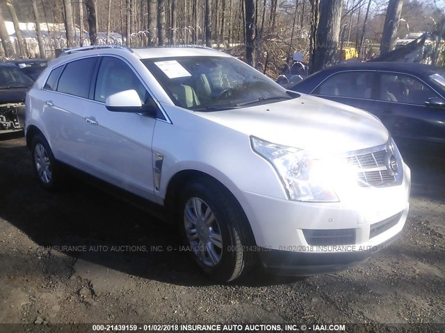 3GYFNAEY0BS528577 - 2011 CADILLAC SRX LUXURY COLLECTION WHITE photo 1