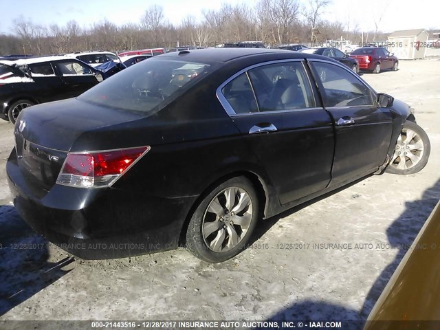 1HGCP36878A082209 - 2008 HONDA ACCORD EXL BLACK photo 4