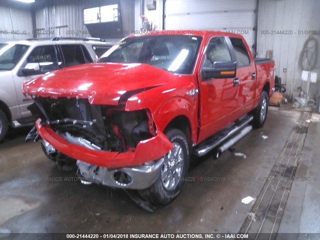 1FTFW1EFXBFB61841 - 2011 FORD F150 SUPERCREW RED photo 2