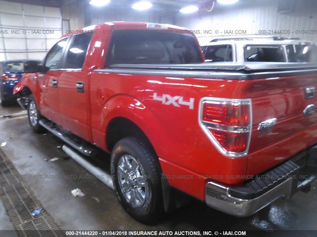 1FTFW1EFXBFB61841 - 2011 FORD F150 SUPERCREW RED photo 3