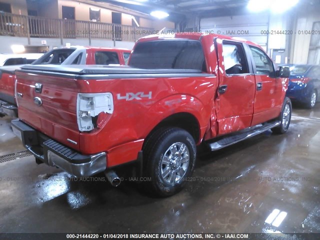 1FTFW1EFXBFB61841 - 2011 FORD F150 SUPERCREW RED photo 4