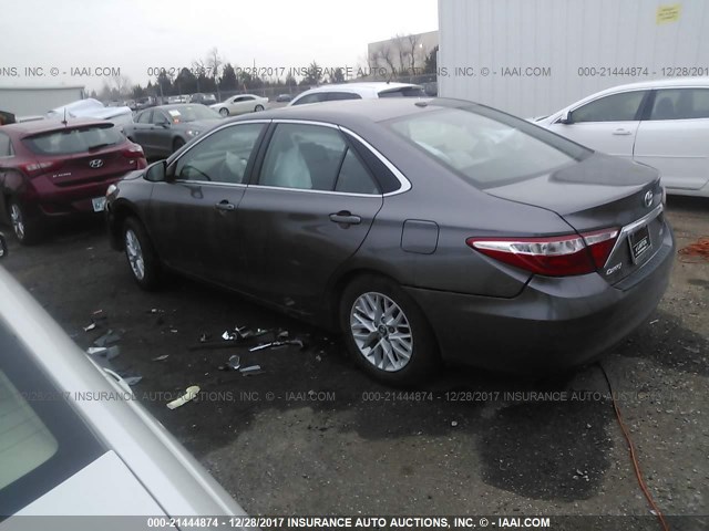 4T1BF1FK2HU328803 - 2017 TOYOTA CAMRY LE/XLE/SE/XSE GRAY photo 3