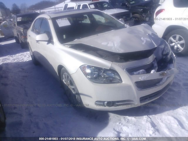 1G1ZE5E75BF100146 - 2011 CHEVROLET MALIBU LTZ 白色 照片 1
