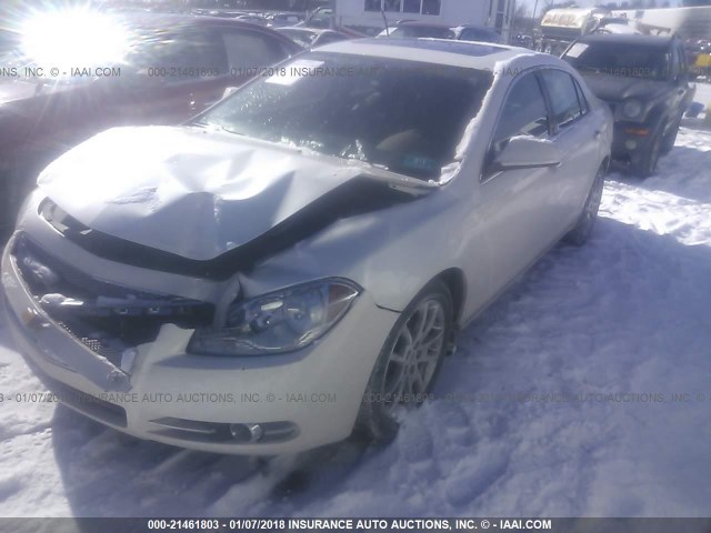 1G1ZE5E75BF100146 - 2011 CHEVROLET MALIBU LTZ 白色 照片 2