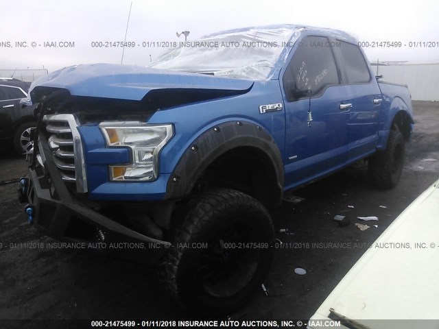 1FTEW1CP7GKF44481 - 2016 FORD F150 SUPERCREW BLUE photo 2
