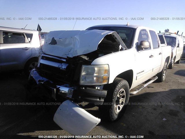 3GCEC13C39G289912 - 2009 CHEVROLET SILVERADO C1500/C1500  LS WHITE photo 2