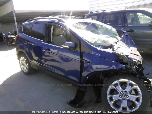 1FMCU0H95DUC13587 - 2013 FORD ESCAPE SEL Dark Blue photo 1