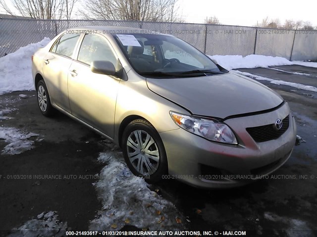 1NXBU4EE3AZ300243 - 2010 TOYOTA COROLLA S/LE/XLE GOLD photo 1