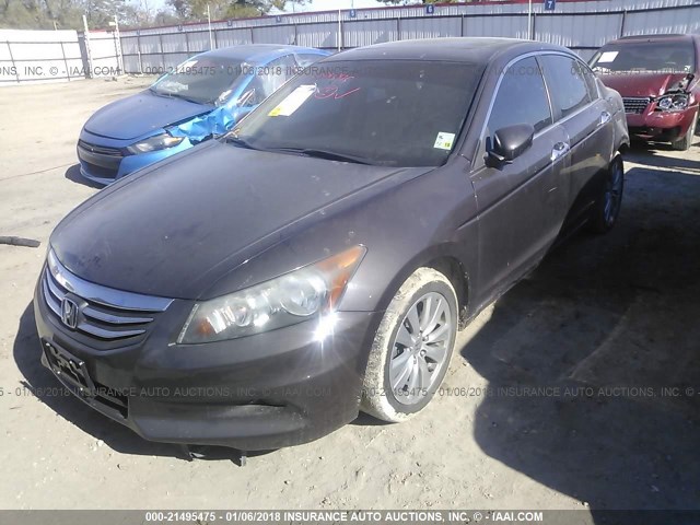 1HGCP3F82BA018439 - 2011 HONDA ACCORD EXL BROWN photo 2