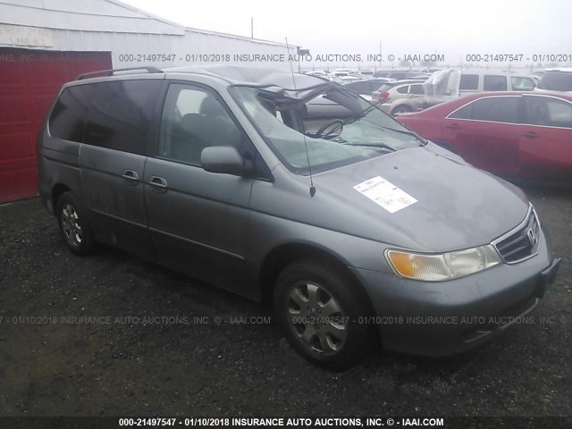 2HKRL18082H553462 - 2002 HONDA ODYSSEY EXL GRAY photo 1