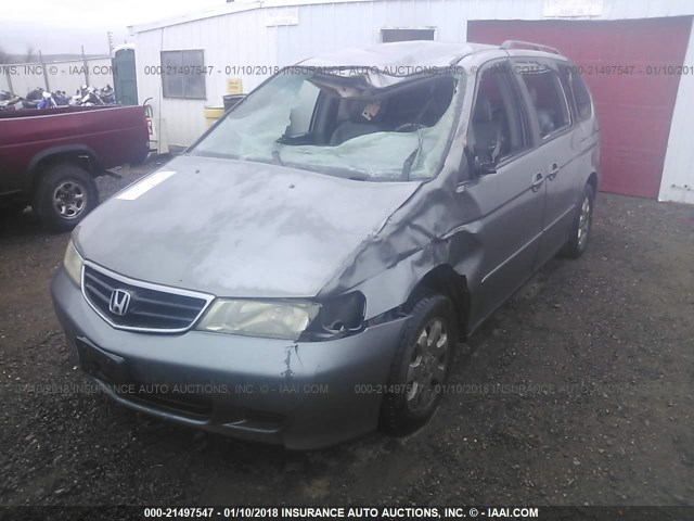 2HKRL18082H553462 - 2002 HONDA ODYSSEY EXL GRAY photo 6