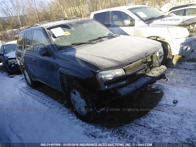 1GNDT13S022383965 - 2002 CHEVROLET TRAILBLAZER  BLACK photo 1