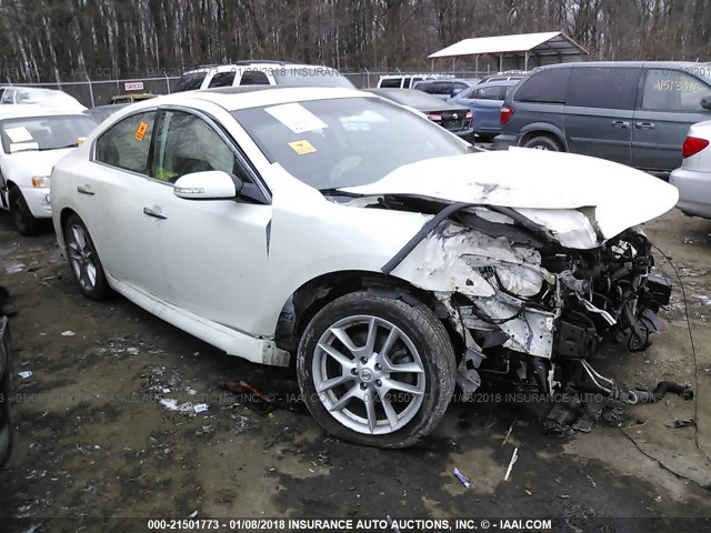 1N4AA5AP7BC861385 - 2011 NISSAN MAXIMA S/SV WHITE photo 1