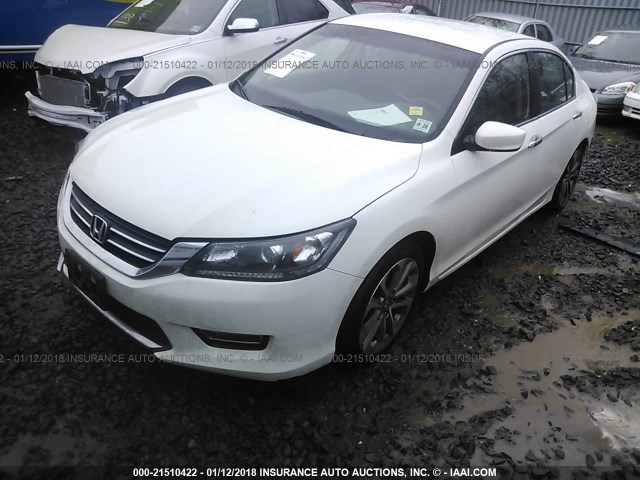 1HGCR2F51DA045175 - 2013 HONDA ACCORD SPORT 白色 照片 2