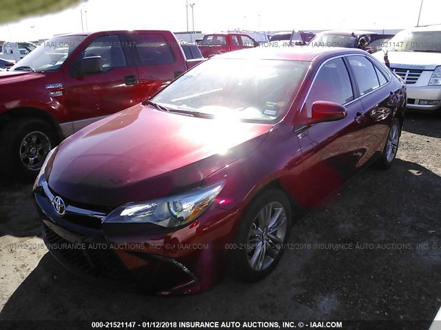 4T1BF1FK8GU606277 - 2016 TOYOTA CAMRY LE/XLE/SE/XSE RED photo 2