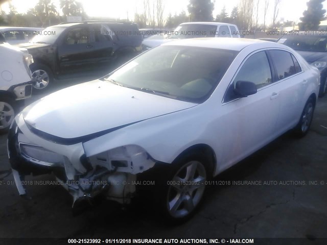 1G1ZA5E19BF289312 - 2011 CHEVROLET MALIBU LS თეთრი ფოტო 2