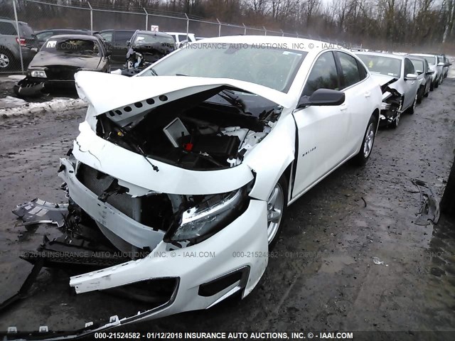 1G1ZB5STXHF277052 - 2017 CHEVROLET MALIBU LS 白色 照片 2