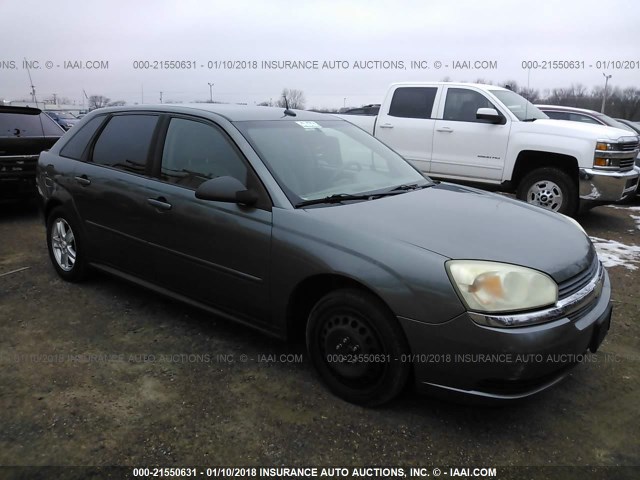 1G1ZT64865F159605 - 2005 CHEVROLET MALIBU MAXX LS GRAY photo 1