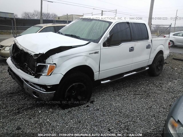 1FTFW1EF9DFC06206 - 2013 FORD F150 SUPERCREW WHITE photo 2
