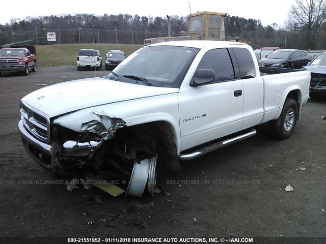 1B7GG42N72S563404 - 2002 DODGE DAKOTA SLT WHITE photo 2