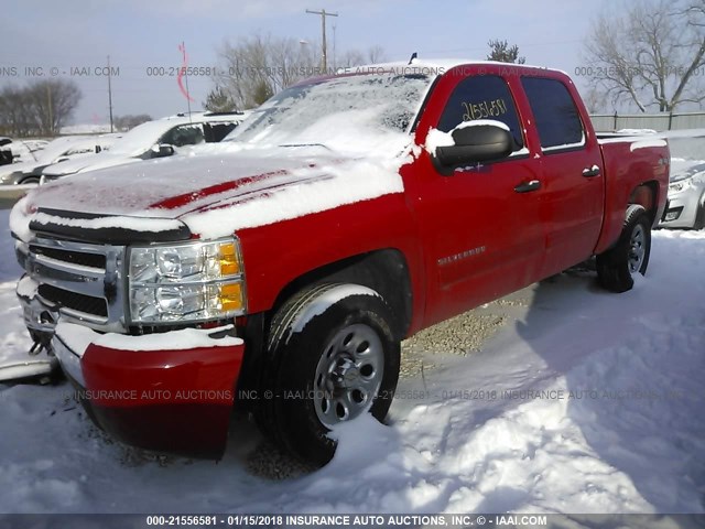 3GCPKREA8BG342552 - 2011 CHEVROLET SILVERADO K1500 LS RED photo 2