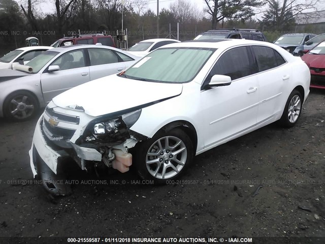 1G11C5SA1DF162049 - 2013 CHEVROLET MALIBU 1LT 白色 照片 2