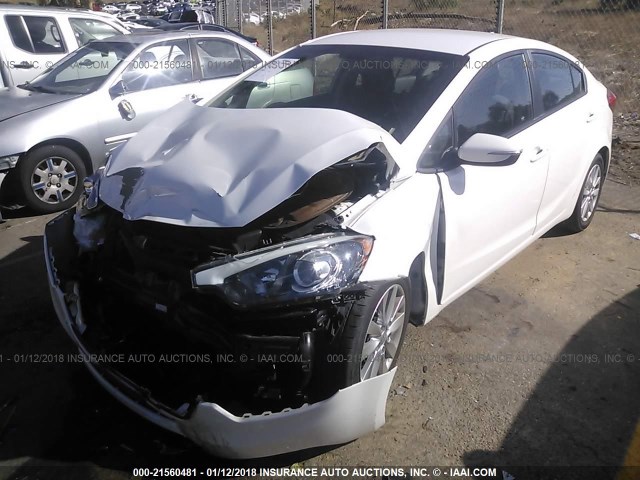 KNAFX4A68F5384084 - 2015 KIA FORTE LX WHITE photo 2