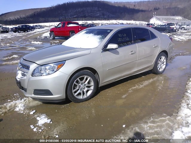 1G11C5SA2DF203823 - 2013 CHEVROLET MALIBU 1LT 棕色 照片 2