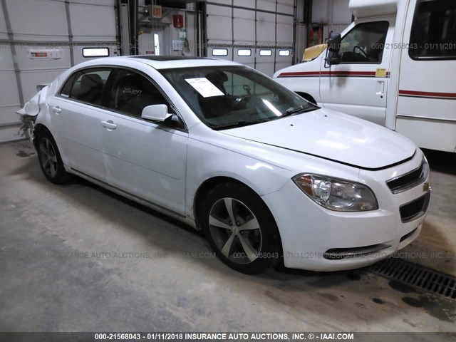 1G1ZC5EU4BF364826 - 2011 CHEVROLET MALIBU 1LT 白色 照片 1