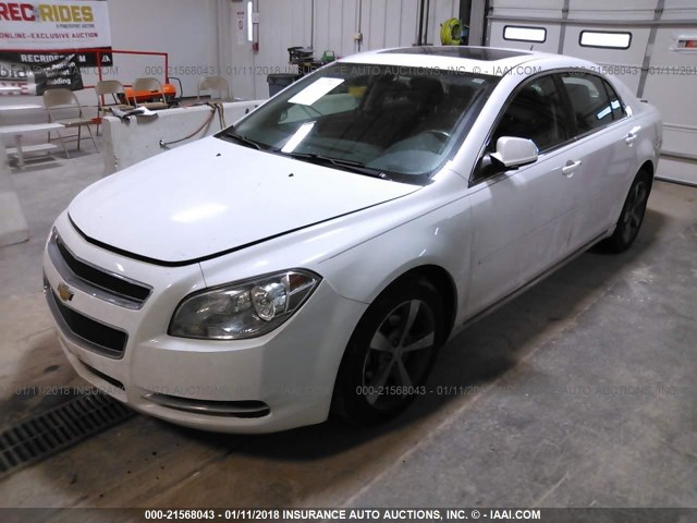 1G1ZC5EU4BF364826 - 2011 CHEVROLET MALIBU 1LT 白色 照片 2