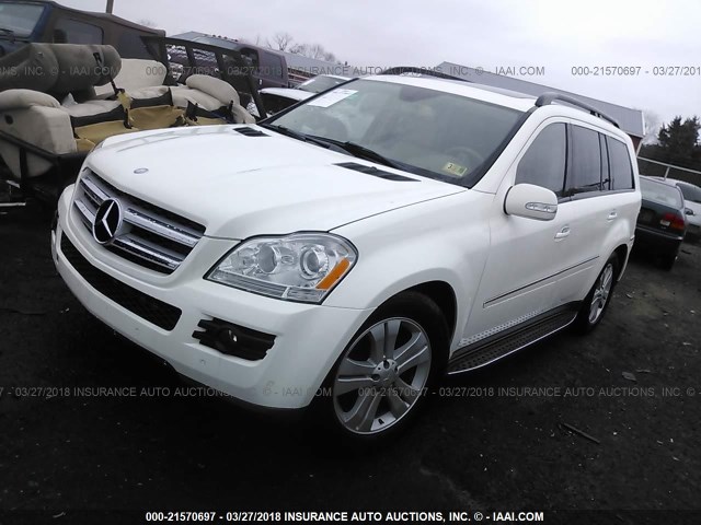 4JGBF71E47A242994 - 2007 MERCEDES-BENZ GL 450 4MATIC WHITE photo 2