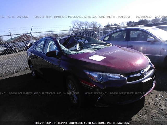 4T1BF1FK9FU885348 - 2015 TOYOTA CAMRY LE/XLE/SE/XSE MAROON photo 1