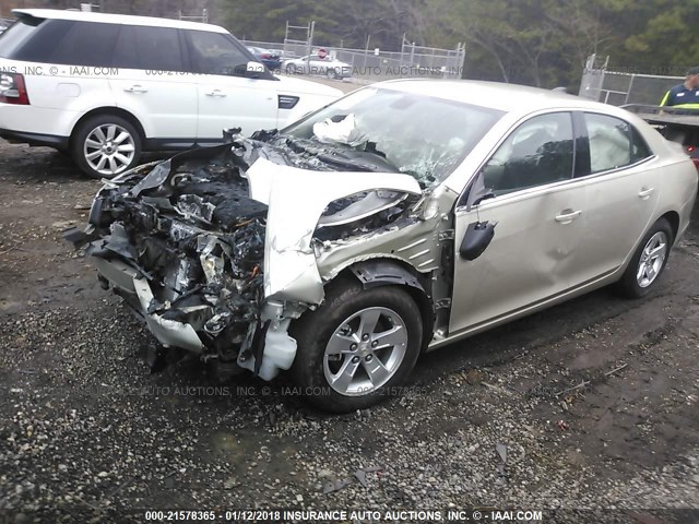 1G11B5SL9FF155941 - 2015 CHEVROLET MALIBU LS 金色 照片 2
