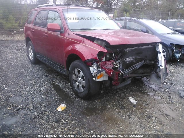 1FMCU0E72AKB63709 - 2010 FORD ESCAPE LIMITED RED photo 1