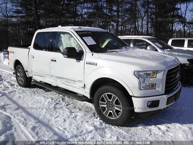1FTEW1EP5FFB96281 - 2015 FORD F150 SUPERCREW WHITE photo 1